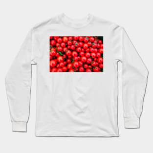 Garden Tomatoes 3 Long Sleeve T-Shirt